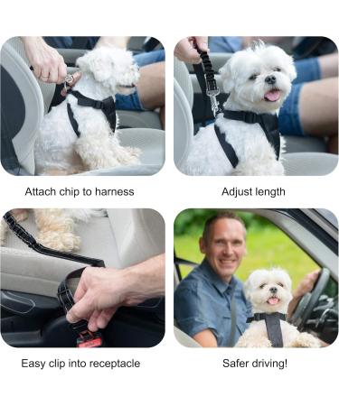 Maoxintek Dog Security Belt for Car | Adjustable 2PCs Elastic Seat Belt for Dogs & Cats | Safe Travel for All Dog Breeds - Buy Online on GoSupps.com