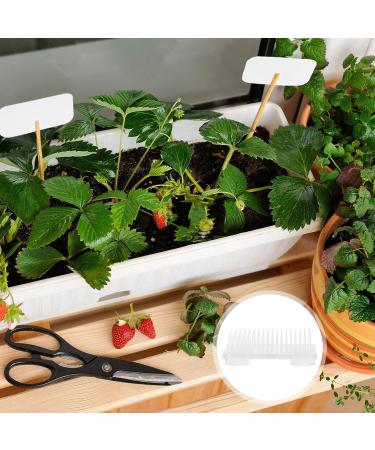 ABOOFAN Clear Rectangular Flower Frog - Floral Arranging Pin Frog for Artistic Bouquets | Flower Art Supplies - Buy Online on GoSupps.com