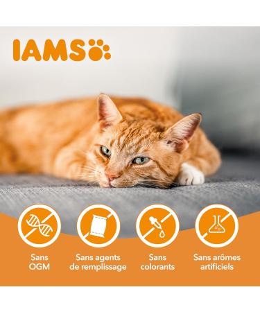 IAMS Dry Cat Food with Sensitive Turkey - for Cats with Sensitive Stomach from 1 year - 3 kg - Buy Online on GoSupps.com