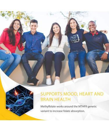 Methyl-Life Pure Pharmaceutical Grade L-Methylfolate 2.5mg Chewable Tablets - 90 Count, Professional Strength, Natural Mint Flavor - Buy Online on GoSupps.com