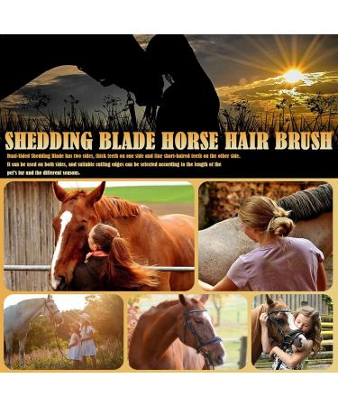 Maodom 2 PCS Shedding Blade - Double-Sided Deshedding Tool for Dogs & Horses | Fine & Rough Metal Teeth Fur Brush - Buy Online on GoSupps.com