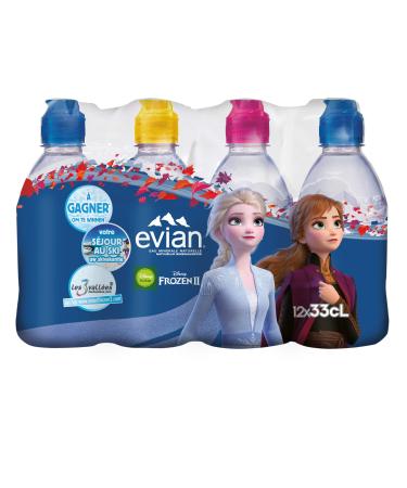 Evian Natural Mineral Water Bottle 12 x 33 cl