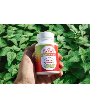 Eclectic Institute Raw Freeze-Dried Nettle Quercetin Capsules | 90 CT | Sinus, Nasal & Immune Support - Buy Online on GoSupps.com