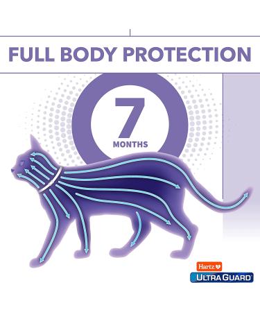 Hartz UltraGuard Flea & Tick Collar for Cats - 7 Month Protection - Reflective Collar - Buy Online on GoSupps.com