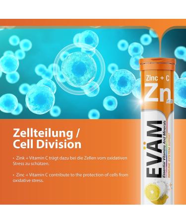  EV M EV M Effervescent Zinc Tablets plus Vitamin C I Lemon Flavor I 3 x 20 effervescent tablets vitamin C zinc I Compl - Buy Online on GoSupps.com