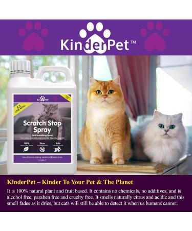 KinderPet Eco Anti Cat Scratch Deterrent Spray Big Value 2.5L Refill Protect Furniture Stop Cats Kittens Scratching Doors Carpets Walls Cruelty Free Pet Safe - Buy Online on GoSupps.com