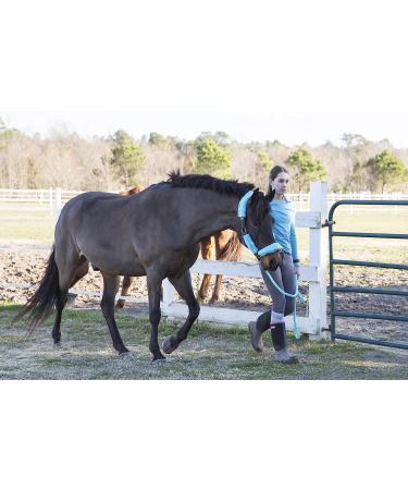 Intrepid International Halter Fleece Set Black - Premium Quality Horse Halter Accessories - Buy Online on GoSupps.com