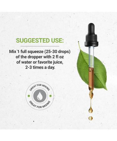 Buy Secrets of the Tribe Cascara Sagrada USDA Organic | Alcohol-Free High-Potency Herbal Drops | 100% Certified Organic Dried Bark Extract (4 oz) for International Shipping - Buy Online on GoSupps.com