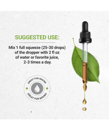 Buy Tribal Detox Alcohol-Free Glycerite Tincture | Turmeric Dandelion Milk Thistle & More | Cleansing Action Formula (2x4 fl oz) - International Shipping Available - Buy Online on GoSupps.com