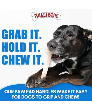 Bullibone Large Bacon Nylon Dog Chew Toy (2 Pack) - Promotes Dental Health, Easy Grip Design, Infused with Delicious Flavor - Buy Online on GoSupps.com