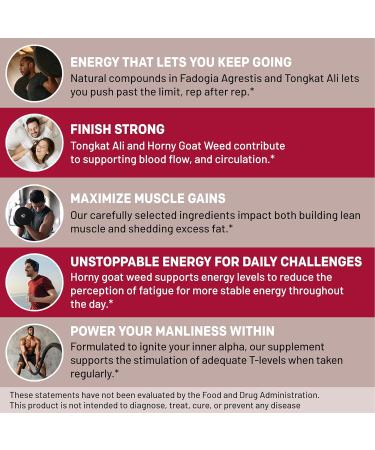 Ceylon Cinnamon (1pk) and Fadogia Tongkat Ali (1pk) Supplement Bundle - Potent Vitamins for Heart Energy Muscle Testosterone & Immune Support - Non-GMO Vegan Gluten-Free - Buy Online on GoSupps.com