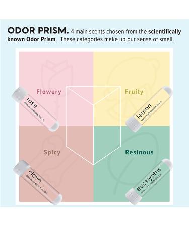 MOXE Smell Training Kit: Olfactory Regeneration with 4 Essential Oils - Made in USA | Natural Therapy for Smell Loss - Buy Online on GoSupps.com