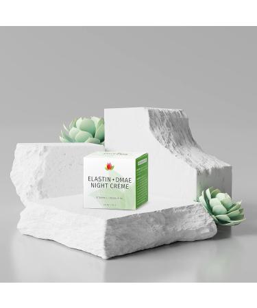 REVIVA LABS - Elastin + DMAE Night Cr me 2PK (2.oz) - Buy Online on GoSupps.com
