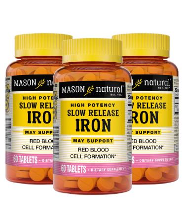 Mason Natural Slow Release Iron (Ferrous Sulfate) - Supports Red Blood Cell Formation, Gentle on Stomach, High Potency Iron Supplement, 60 Tablets (Pack of 3)