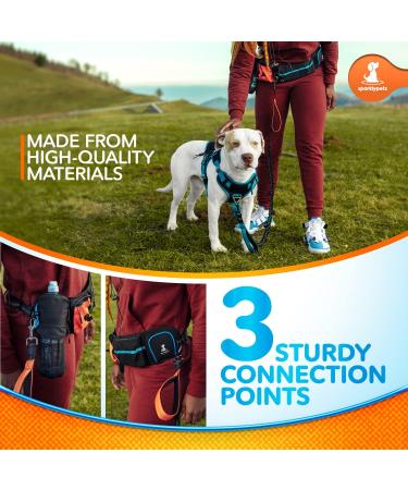 Sparklypets Jogging Line for Dogs | Hands-Free Leash with Belly Belt | Ideal for Medium/Large Dogs | Includes Treat Bag Feces Bag Pocket & Phone Holder | High-Quality Active Set - Buy Online on GoSupps.com