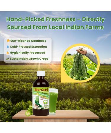 Basic Ayurveda Bitter Gourd (Karela) Juice | 16.23 Fl Oz (480ml) | Natural Bitter Melon Juice for Detox Support | Plant Based Ayurvedic Herbal Drink | for Liver Health Digestion & Immunity - Buy Online on GoSupps.com