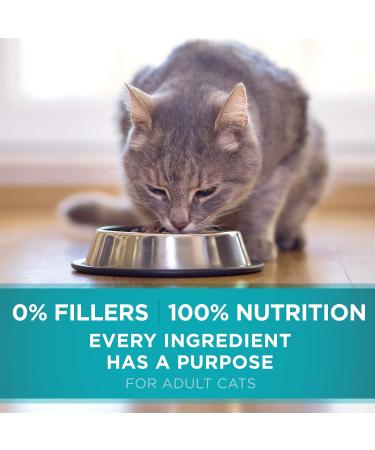 Purina ONE Smartblend True Instinct Natural Dry Dog Food Turkey & Venison 6.8 kg + True Instinct Grain Free Natural Dry Cat Food with Real Ocean Whitefish 1.45 kg - Buy Online on GoSupps.com