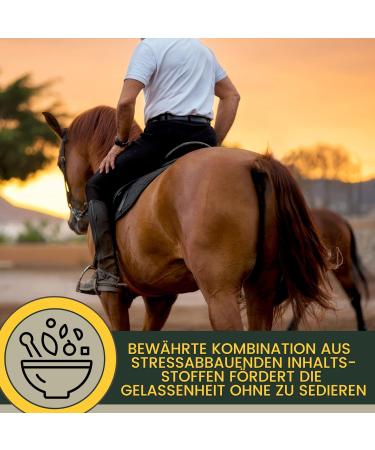 Emma Magnesium for Horses | 1L & 30ml Paste & Liquid | Calm & Relax Nervous Horses | Anti-Stress Nerve Support with Tryptophan - Buy Online on GoSupps.com