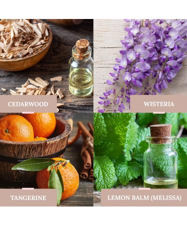 Buy ANGEL'S LIGHT Michael Luxury Scented Candle - 100% Natural Soy Wax Cedarwood Melissa & Tangerine Handmade with Wooden Wick - Elegant Design for Energy of Protection - International Shipping Available - Buy Online on GoSupps.com