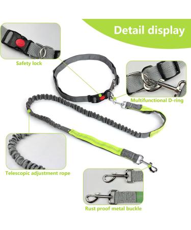Hands Free Dog Leash with Zipper Pouch Dog Walking Belt with Leash Dual Handle Elastic Band Reflective Adjustable Waist Leash Bag Pack for Medium Dogs for Running Walking Hiking Biking - Buy Online on GoSupps.com