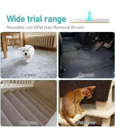 Portable Self-Cleaning Foot Remover for Pets | Lint Brush for Dog & Cat Hair | Reusable Carpet Cleaner - Buy Online on GoSupps.com