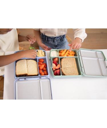 Ubbi Bento Lunch Box for Kids | 4-Compartment, BPA-Free, Leakproof, Dishwasher Safe | Sage Green Lunch Container - Buy Online on GoSupps.com