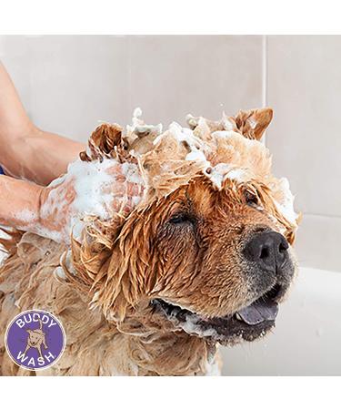 Buddy Wash Dog Shampoo & Conditioner with Botanical Extracts - Aloe Vera, Green Tea & Bergamot | 16 fl oz - Buy Online on GoSupps.com