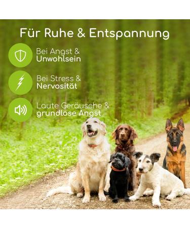 Soothing Snacks for Dogs | Natural Calming Treats with Valerian & St. John's Wort - 130 Stress Relief Treats - Buy Online on GoSupps.com