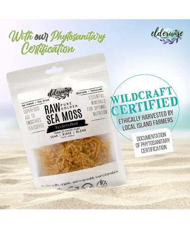 Wildcrafted Sea Moss Gel - Raw, Non-GMO, Sundried, Mineral Rich - Makes 20oz - Golden - Buy Online on GoSupps.com