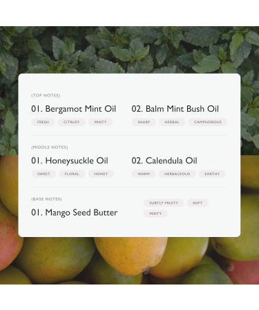 Sincere Naturals Healing Body Balm | Soothe & Relieve Eczema Dermatitis Rosacea & Rashes | Fragrance-Free - Buy Online on GoSupps.com