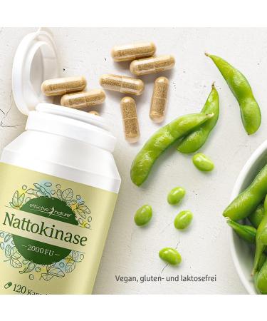 High-Dose Nattokinase 100 mg Capsules (2000 FU) - Vegan No Vitamin K 120 Capsules for 4 Months - Pure NATTO Extract Additive-Free International Shipping - Buy Online on GoSupps.com