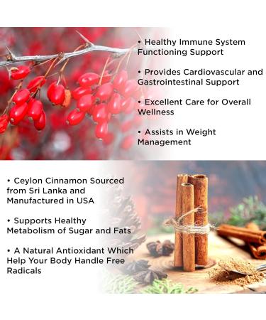 Berberine with Ceylon Cinnamon Gummies - Sugar-Free 98% Pure 10x Absorption - 1200mg Organic Supplement for Weight Loss Immunity Cardiac Metabolic & Digestive Health - Buy Online on GoSupps.com