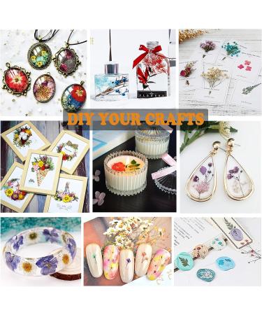 Dried Pressed Flowers Kit - 223 Pcs for Resin, Nails, Jewelry, Soap & Candle Making - Real Natural Leaves, Butterfly Stickers - LUCISKY - Buy Online on GoSupps.com