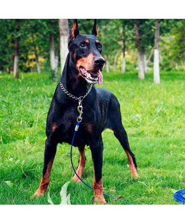 FRAMNG 2 Pack Dog Tie Out Cable Reflective Tie-Out Cable 10ft Steel Wire Rope for Dogs Up to 80 Pound Heavy-Duty Dog Runner Tie Out Cable Dog Lead Line for Yard Camping Outside (3 Meter) - Buy Online on GoSupps.com
