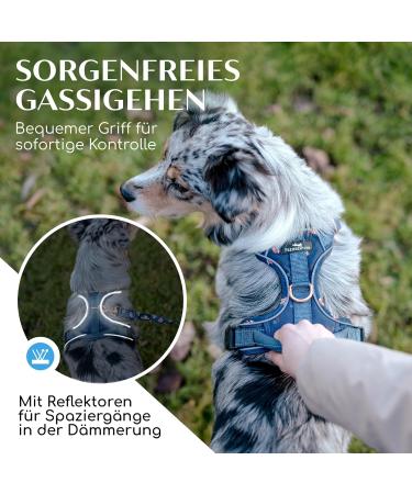 Freudentier Breathable Dog Harness | Comfort Padded & Secure | Anti-Drawing for All Dog Sizes | Let s Get Foxy Collection - Buy Online on GoSupps.com
