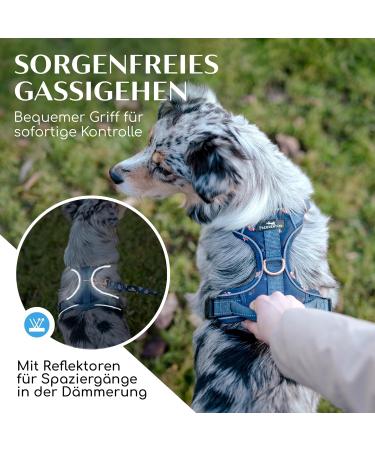 Freudentier Breathable Dog Harness - Comfortable Padding & Anti-Drawing Design for All Dog Sizes - Let's Get Foxy Collection - Buy Online on GoSupps.com