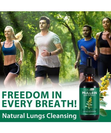 Mullein Leaf Extract for Lungs, Mullein Drops for Lungs with Chrolophyll, Support Lung, Respiratory Function for Healthy Breathing, Improvement in Pulmonary Function,Natural & Safe Supplement(1 PC) 2.02 Fl Oz (Pack of 1) - Buy Online on GoSupps.com
