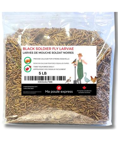 Dried Black Soldier Fly Larvae Chicken Treats for Chicken Hens Duck Bird Lizard Tortoise - High Protein - 5 Pounds