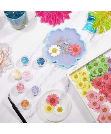 84 Pieces Real Dried Pressed Flowers - Natural Daisy Variety for DIY Crafts & Decorations - 7 Colors - Resin Casting, Jewelry, Candle, Soap Making Supplies - Buy Online on GoSupps.com