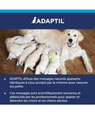ADAPTIL Calm - Pack of 3 refills for Anti-Stress diffuser for Dogs - Natural mode of action - Works for 3x30 Days - without Drowsiness - Made in France - Buy Online on GoSupps.com