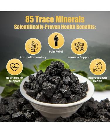 Himalayan Shilajit Resin 1 000 mg Gold-Grade Organic Fulvic Acid & 85+ Trace Minerals | Alpine-Harvested Sun-Dried & Lab-Purified | Energy Vitality Immune & Cardiovascular Support | Non-GMO - Buy Online on GoSupps.com