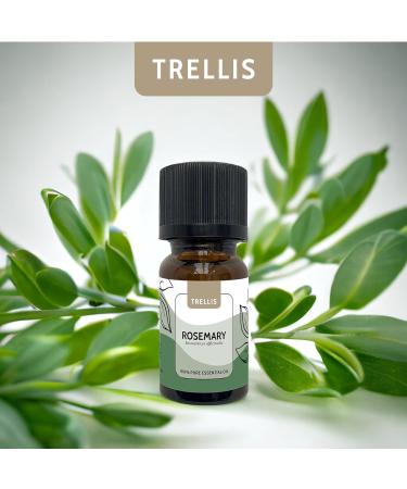 Trellis Rosemary Essential Oil 10ml - 100% Pure Aromatherapy Oil for Diffusers | Vegan & Cruelty-Free | Ethically Sourced from Spain | Bottled in the UK (1 Pack) - Buy Online on GoSupps.com