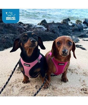 Best Pet Supplies Voyager Mesh Harness & Leash Combo XS/S (Chest 14.5-16) Fuchsia - Reflective Leash, Neoprene Handle - All Weather Harness for Small, Medium, Large Breed Puppies - Red - Buy Online on GoSupps.com