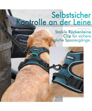 Rabbitgoo No-Pull Dog Harness for Medium & Large Dogs - Breathable Reflective Anti-Training Control - Dark Green (1 Pack) - Buy Online on GoSupps.com