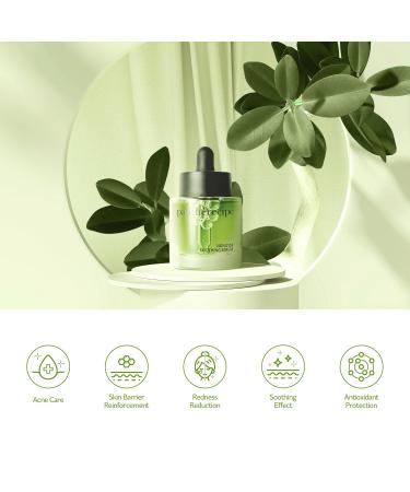 PESTLO Pantherecipe Nonicica Soothing Serum 30ml - Soothing Korean Skincare for All Skin Types Nourishing Pore Tightening & Sebum Control - Buy Online on GoSupps.com