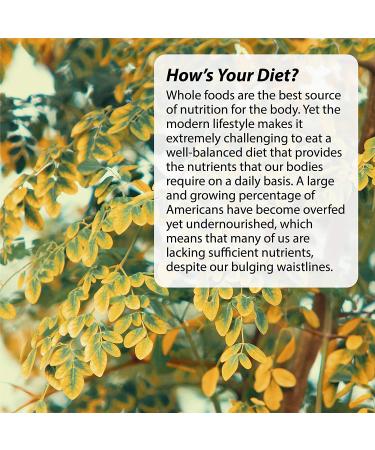 Buy Irwin Naturals Mighty Moringa 60 Liquid Soft-Gels - Boost Energy & Wellness - Buy Online on GoSupps.com