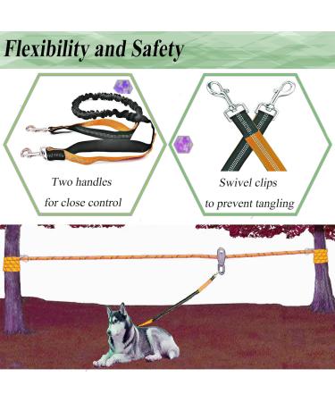 ZENGSUSU Bungee Dog Leash Extension Attachment 4ft with Double Swivel Clips Small/Medium/Large Dogs Reflective Tactical Shock Absorbing Lead for Bicycle Running Walking Camping (Orange) - Buy Online on GoSupps.com
