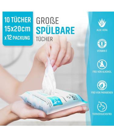 Moist Toilet Paper - 120 Biodegradable Wet Wipes | Alcohol-Free & Aloe Vera Enriched | Flushable 15x20cm - Buy Online on GoSupps.com