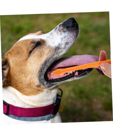 Housoutil Cat Chew Toothbrush 1 Set Pet Toothbrush Toothbrushes Dog Toothpaste Pet Tooth Care Brush Toothbrush Set The Dog - Buy Online on GoSupps.com