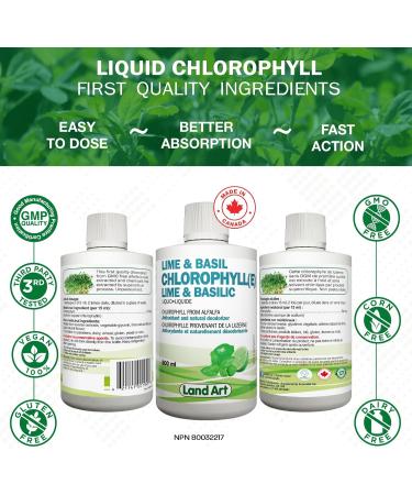 Liquid Chlorophyll Lime Basil 500ml Cold Extracted from Non-GMO Alfalfa - Detox - Alkaline - Natural Body Deodorant Antioxidant - Made in Canada - Buy Online on GoSupps.com